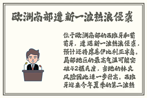 速播app网站进入